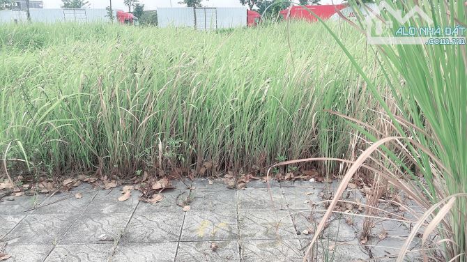 ✅ BÁN ĐẤT TÁI ĐỊNH CƯ BỘ CÔNG AN – CỔ DƯƠNG, TIÊN DƯƠNG, ĐÔNG ANH ✅  📐 Diện tích: 112m² – - 2