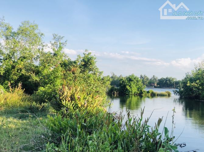 bán 1.200m2 view sông Tam Kỳ có 200m2 đất ở - 2