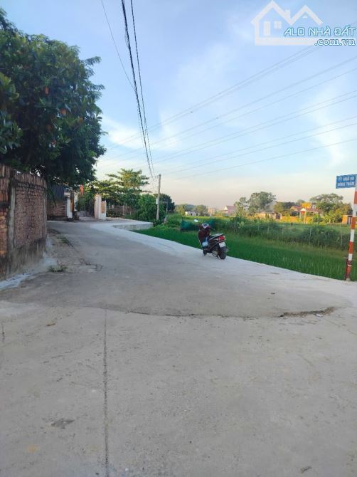 🏡 BÁN ĐẤT ĐẸP 183M² – ĐỒNG THÂM, HỒNG KỲ, SÓC SƠN – GIÁ CHỈ 3,2 TỶ - 2
