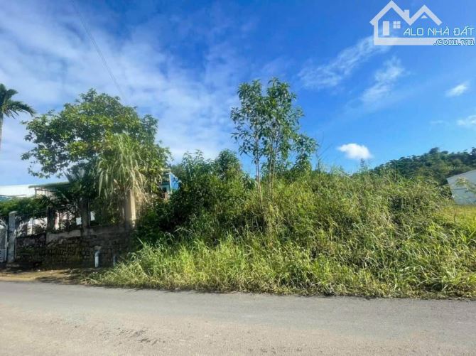 🔥RẺ NHẤT! Bán đất mặt tiền Nguyễn Thiện Thuật, phường 3  Bảo Lộc - 2