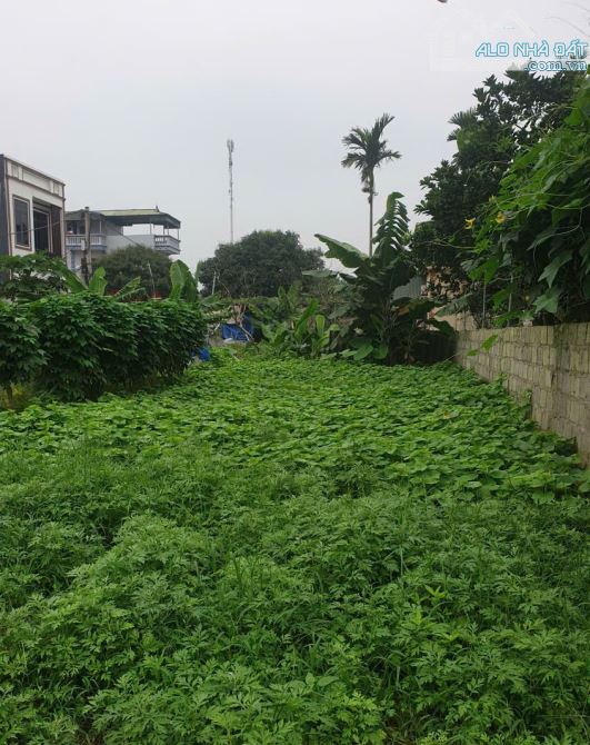 Bán Đất Chương Dương, Thường Tín 68m, mặt tiền 5m, ô tô qua đất vào đất, giá 2,4 tỷ. - 1