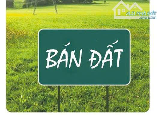 Cần bán nền thổ cư lớn giá rẻ đường Nguyễn Đệ , An Hoà , Cần Thơ - 2