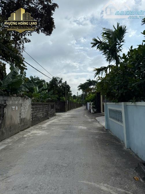 BÁN ĐẤT NGHI LIÊN – PHƯỜNG VINH HƯNG 65,3m2 TÂY BẮC ĐƯỜNG 5m - 3