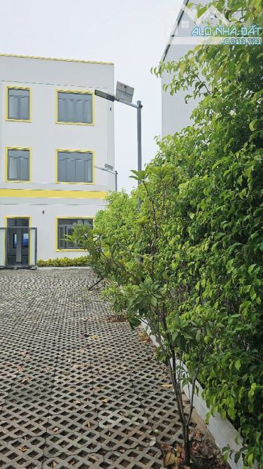 BÁN GẤP CĂN HỘ DỊCH VỤ MẶT TIỀN AN PHÚ ĐÔNG 9 QUẬN 12, DT 442M²(11×40), GIÁ SIÊU RẺ - 3