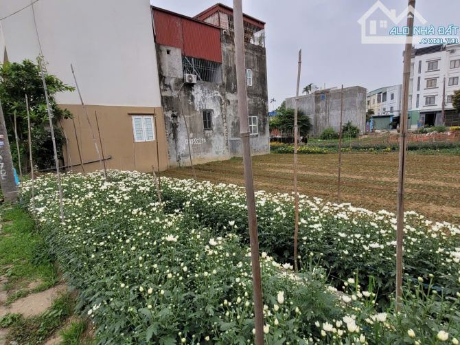 BÁN LÔ BIỆT THỰ HƯỚNG ĐÔNG NAM 200m giá 7,7 tỷ RẺ NHẤT QUẬN HẢI AN - 3