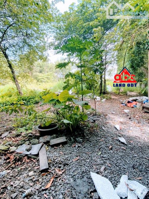 Cho Thuê Xưởng Tổng Diện Tích Sử Dụng 3600m2 _ P. Tam Phước _Biên Hoà - 3