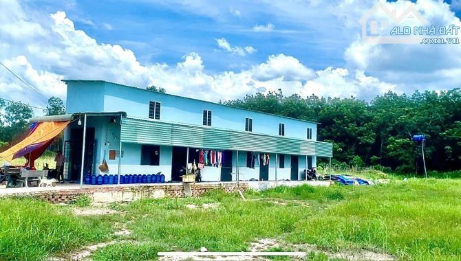 Bán 1  lô bầu bàng quá đẹp để ở và đầu tư - 3