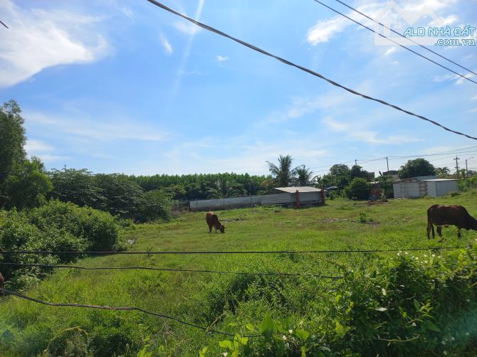 SIÊU PHẨM 1.100M2 CÓ 240M TC VÀ 25M MT KHU DÂN CƯ ĐANG XÂY ĐỰNG ĐÔNG - XÃ PHƯỚC HẢI.BRVT - 3