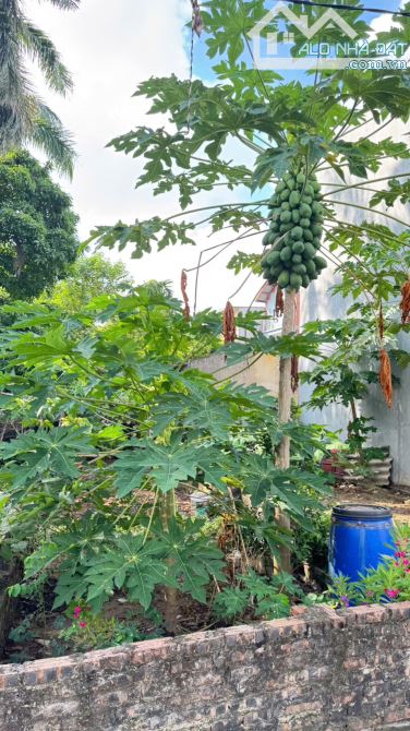 🏡 Lô đất đẹp Mai Lâm – Đông Anh – ô tô vào tận cửa 49m² Gần siêu dự án cầu tứ liên - 2