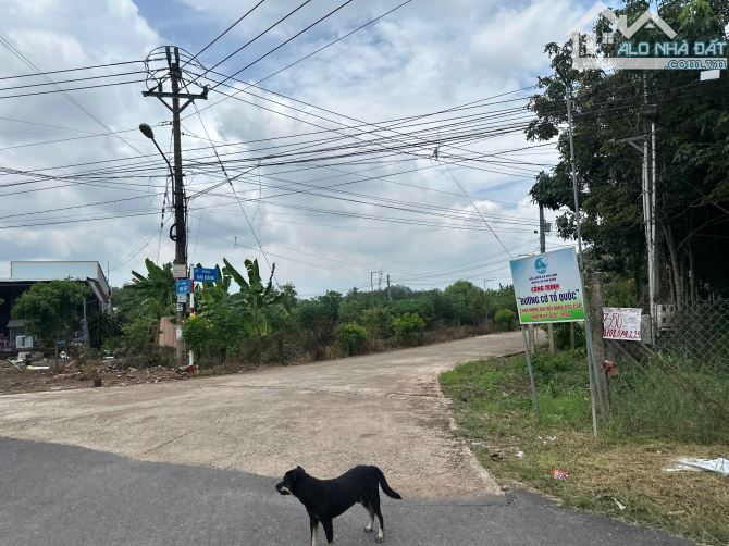 Bán lô đất 342m2 - 100m2 thổ cư An Linh - Phú Giáo giá 780tr bao sổ - 3