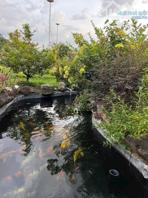 View nghỉ dưỡng bờ sông Đồng Nai .3500m2. View thiết kế bài bảng Sang Trọng - 3