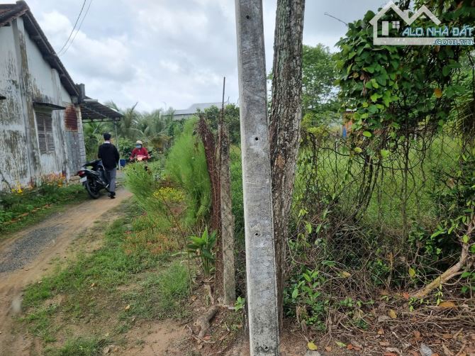 271m2 có thổ cư. Gần KCN Hiệp Thạnh. 6m ngang, 450tr - 3