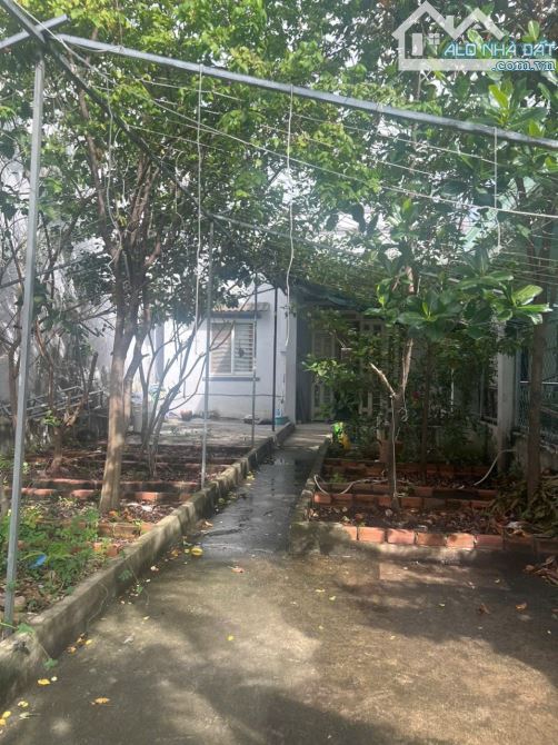Bán nhà có sẵn vườn trồng cây và cây ăn trái hẻm 360 Phạm Hữu Lầu nhà bè - 3
