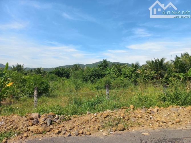 BÁN 1000M2 CÓ 160M2 TC LƯNG TỰA NÚI MỊNH ĐẠM - TT PHƯỚC HẢI ,BRVT - 3