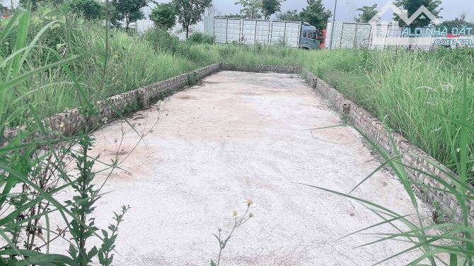 🌹 ĐẤT ĐẤU GIÁ – CỔ DƯƠNG, TIÊN DƯƠNG, ĐÔNG ANH 🌹  📐 Diện tích: 60,1m² – mặt tiền 3,88m - 3