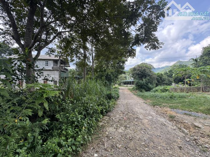 700m Full Đất Ở Trong Thung Lũng Đẹp Ví Như Mộc Châu Thu Nhỏ - 3