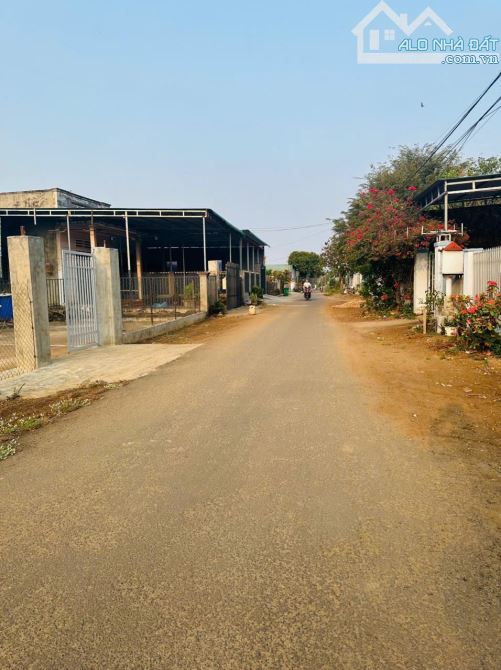 Cần Bán Lô Đất  Xã Hoà Khánh-Gần chợ Đoàn Kết - 3