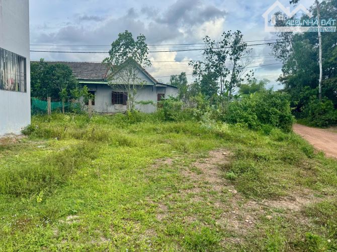 Bán đất kiệt oto Tôn Thất Sơn cách trục Trưng Nữ Vương  800m2 - 3