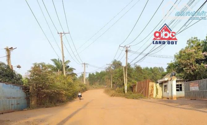 D175 Bán Quỹ Đất phù hợp Xây Dựng nhà xưởng với diện tích : 35.000m2. thuộc xã Tân An - Vĩ - 4