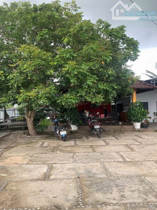 Nhà Vườn Nở hậu nhẹ HXH 401m2 – Nguyễn Thông Bình Thuận S - 4