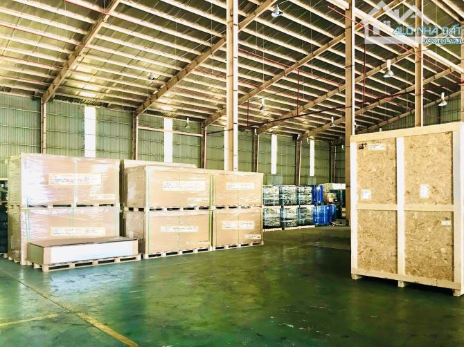 Kho chung Toàn Phát - Giải pháp tối ưu dòng tiền - 4