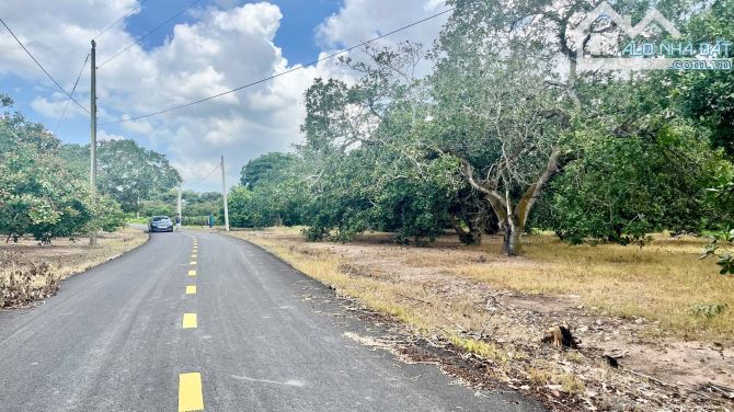 Siêu phẩm 84m mặt tiền đường nhựa ngay sát KDL Hồ Cốc, Hồ Tràm. Giá đầu tư F0 - 4