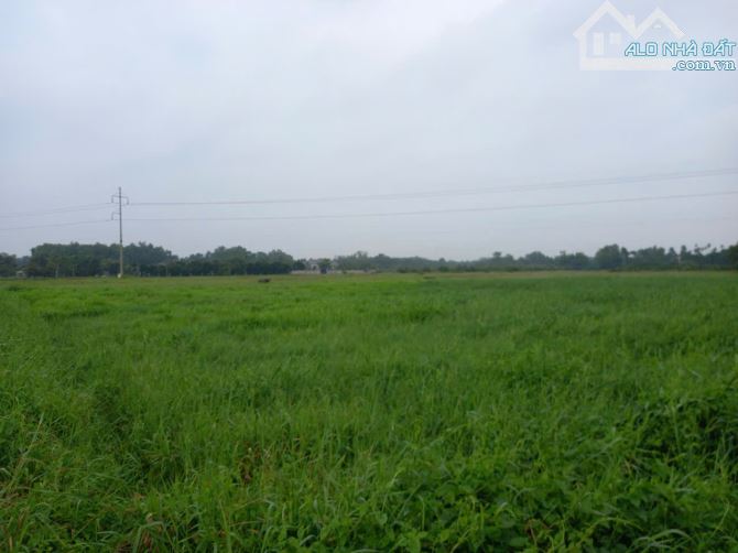 Bán đất quốc lộ 22b trảng bàng tây ninh 150m x 850m = 12.000m giá 30,5 tỷ tl - 4