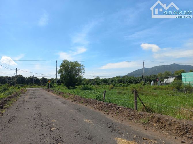 BÁN 1000M2 CÓ 160M2 TC LƯNG TỰA NÚI MỊNH ĐẠM - TT PHƯỚC HẢI ,BRVT - 4