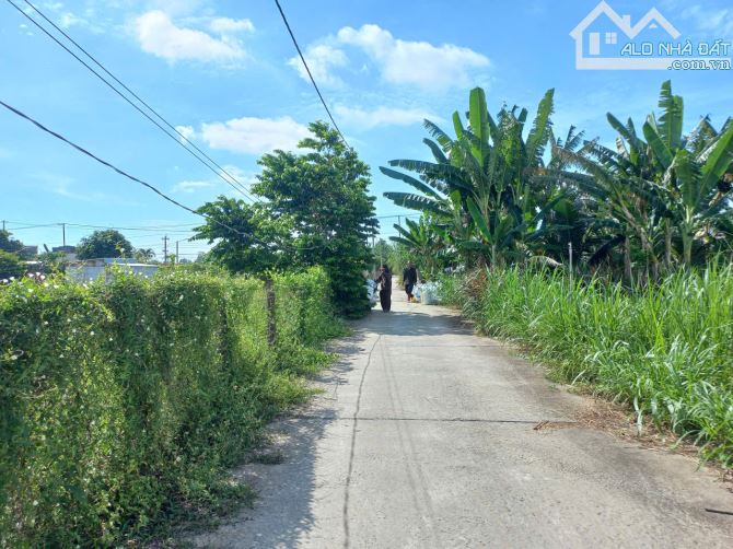 BÁN ĐẤT KHU DÂN CƯ ĐƯỜNG BÊ TÔNG OTO XÃ PHƯỚC HẢI ,BRVT - 1100M2 CÓ 240M TC - 4
