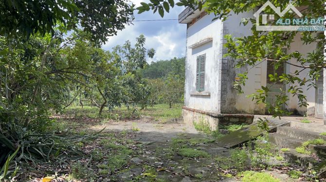 Bán đất Phú Nghĩa, Lạc Thuỷ, Hoà Bình 6500m2 siêu đẹp trông toàn bộ cây ăn quả - 4