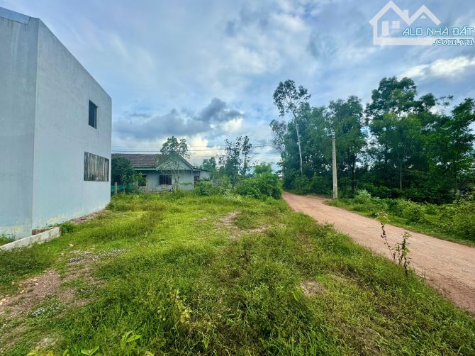 Bán đất kiệt oto Tôn Thất Sơn cách trục Trưng Nữ Vương  800m2 - 4
