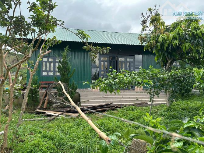 🥰 Bán nhà vườn 2820m2 Tại Đạ Đờn, Lâm Hà Lâm Đồng. - 5