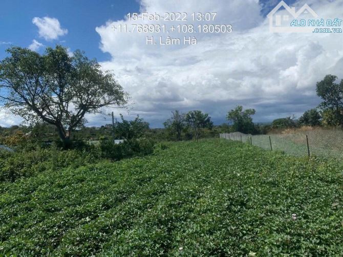 🥰 Siêu Phẩm 2MT hồ Phúc Hưng - Phúc Thọ- Lâm Hà- Lâm Đồng. - 5