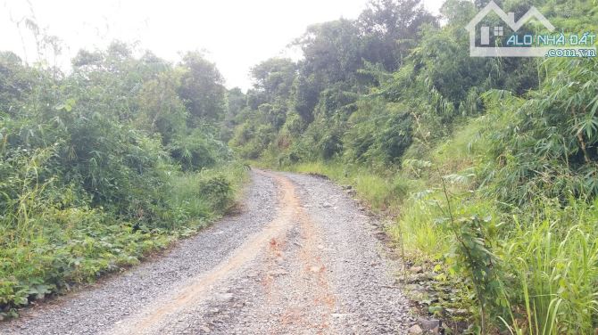 CHÍNH CHỦ BÁN 1340M ĐẤT VIEW HỒ NGỌC LỘC TÂN GIÁ CHỈ : 1 TỶ 100 TRIỆU - 5