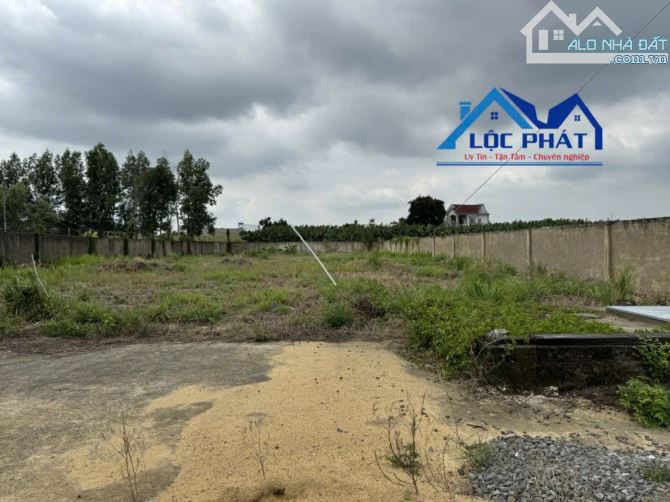 Bán xưởng Vĩnh Tân Vĩnh Cửu Đồng Nai 13.000 m2 chỉ 47 tỷ - 5