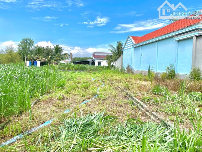 Tôi cần bán lô đất mặt tiền kinh doanh buôn bán( hình, sổ, giá thật ạ) - 5