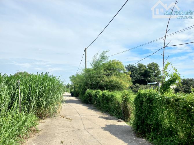 SIÊU PHẨM 1.100M2 CÓ 240M TC VÀ 25M MT KHU DÂN CƯ ĐANG XÂY ĐỰNG ĐÔNG - XÃ PHƯỚC HẢI.BRVT - 5