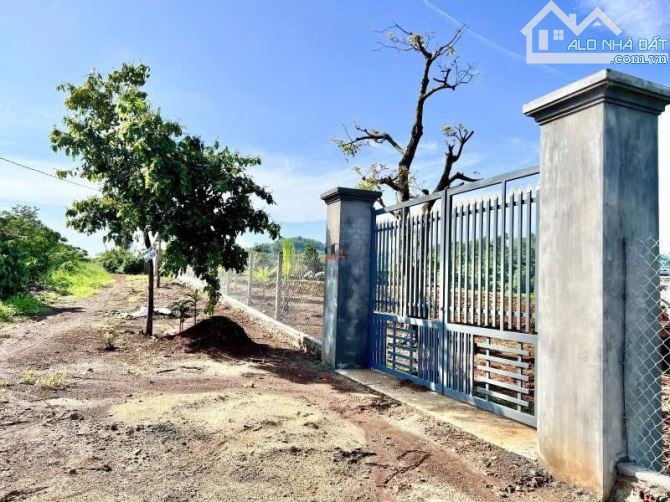 ĐẤT SÀO HÒA KHÁNH CÓ NGUỒN THU TRÊN ĐẤT  GIÁP P  EA KAO - 5