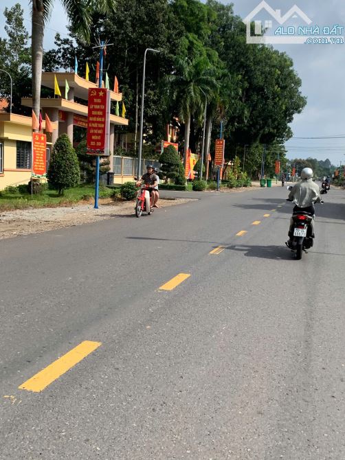 Lô đất trồng mít tại An Long - Hồ Chí Minh đường nhựa cách dh507 200m. 540m2 giá 2tr2/m2 - 5