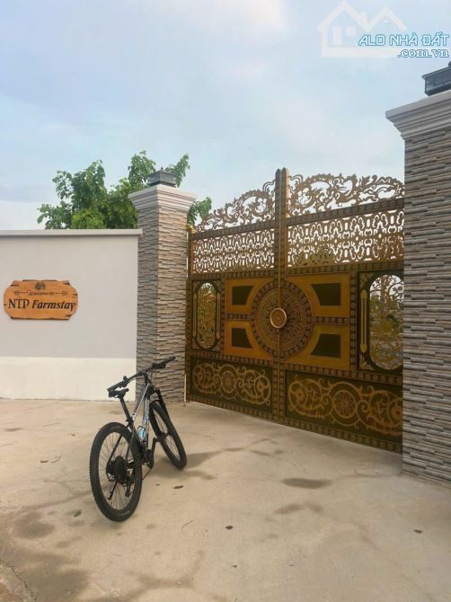 View nghỉ dưỡng bờ sông Đồng Nai .3500m2. View thiết kế bài bảng Sang Trọng - 5