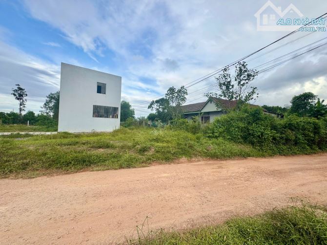 Bán đất kiệt oto Tôn Thất Sơn cách trục Trưng Nữ Vương  800m2 - 5
