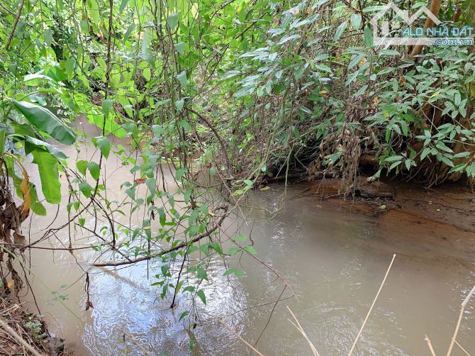 Bán khoảng 1 sào 3 (1295m2) đất xã Láng Lớn, huyện Châu Đức, BRVT. - 5