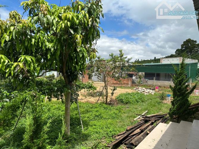 🥰 Bán nhà vườn 2820m2 Tại Đạ Đờn, Lâm Hà Lâm Đồng. - 6