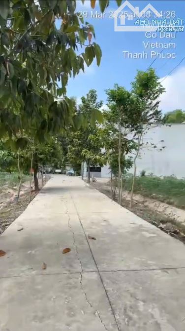 Bán đất đường xe hơi Pháo Binh, Thanh Phước, Gò Dầu, Tây Ninh - 6