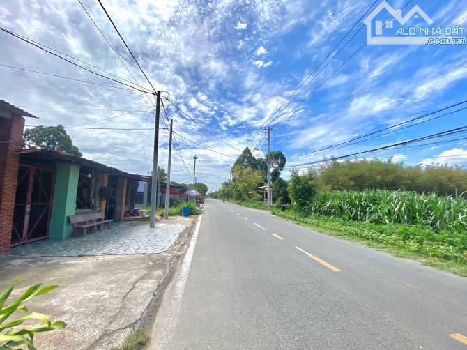 Tôi cần bán lô đất mặt tiền kinh doanh buôn bán( hình, sổ, giá thật ạ) - 6