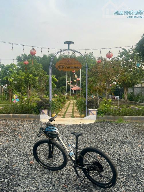 View nghỉ dưỡng bờ sông Đồng Nai .3500m2. View thiết kế bài bảng Sang Trọng - 6