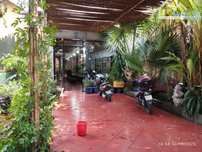 Biệt thự sân vườn siêu đẹp !... 9,3x41m, giá 14.5 tỷ. - 6