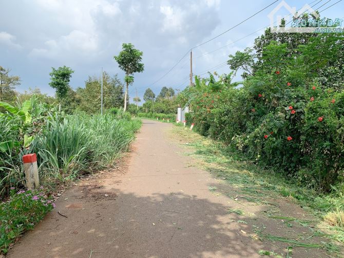 Bán khoảng 1 sào 3 (1295m2) đất xã Láng Lớn, huyện Châu Đức, BRVT. - 6