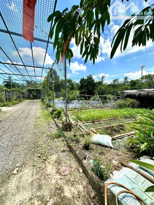 1500m2 đất view mặt hồ Trị An, 1 mặt hồ và 1 mặt đường bê tông lớn, ........Gia tân 1 thốn - 7