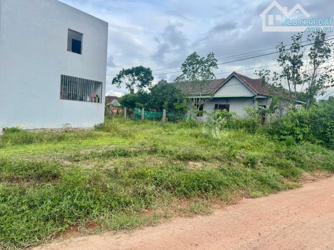 Bán đất kiệt oto Tôn Thất Sơn cách trục Trưng Nữ Vương  800m2 - 7